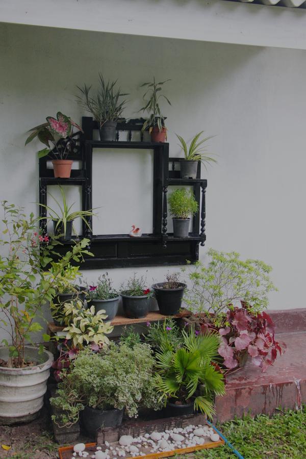 נגומבו Coco Home מראה חיצוני תמונה